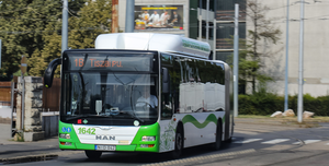 Fotó: Az 1-es, 1B-s és 101B-s buszok nem érintik Berekalján az Eper utca és Erdő utca megállóhelyeket