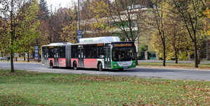 Fotó: Ideiglenes megállóhely-áthelyezés a Levente vezér utcában