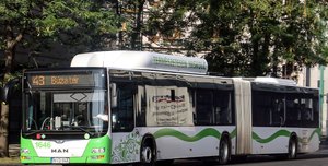 Fotó: Ideiglenesen áthelyezésre került az Erzsébet királyné útja megállóhely