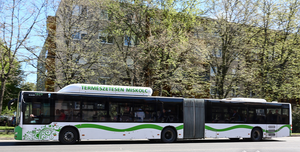 Fotó: Ideiglenes megállóhely-áthelyezések a Szeles utca - Repülőtér/Bosch közötti szakaszon