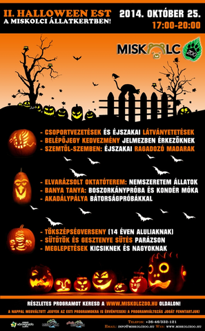 Többlet ZOO járatok a Halloween estre a Miskolci Állatkert és Kultúrparkba