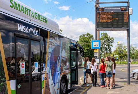 Popular ticket types for tourists