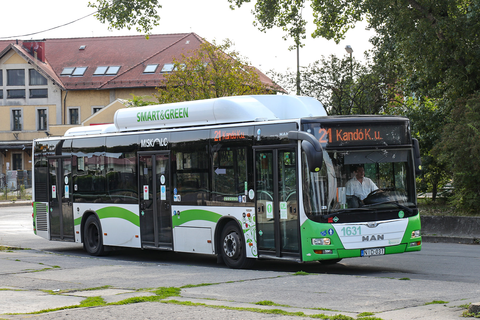 busz