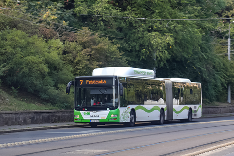 busz