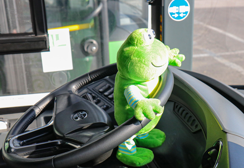 Plüss béka figura a BYD autóbuszon