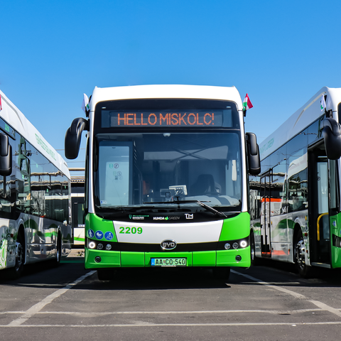 busz