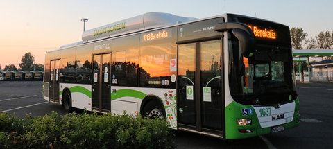 busz