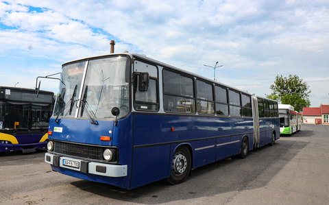 busz