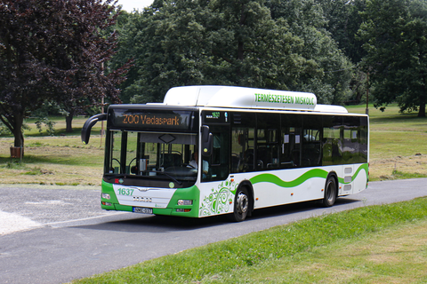 ZOO jelzésű autóbusz