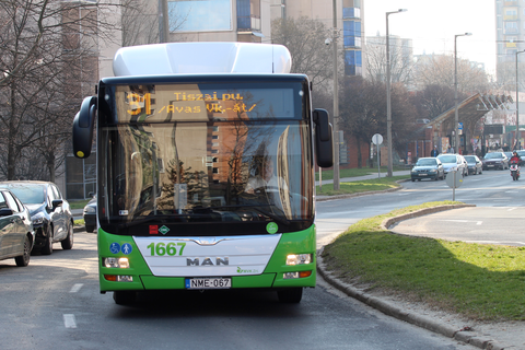 31-es busz