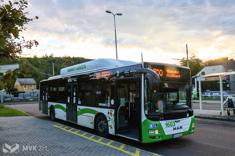 ZOO járat Miskolcon