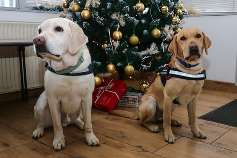 vakvezető kutyusok az MVK-nál