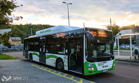 ZOO járat Miskolcon