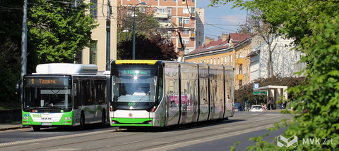 1-es jelzésű villamos és 1-es jelzésű autóbusz