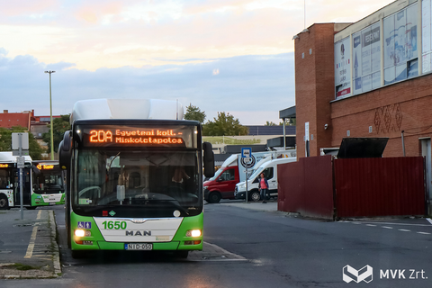 20a búza tér
