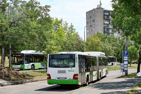 Leszih Andor utca ideiglenes megállóhely