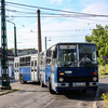 IKARUS 280 old-timer bus