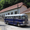 IKARUS 31 old-timer bus