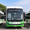 új BYD szóló buszok a telephelyen_01