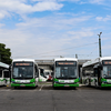 új BYD szóló buszok a telephelyen_03